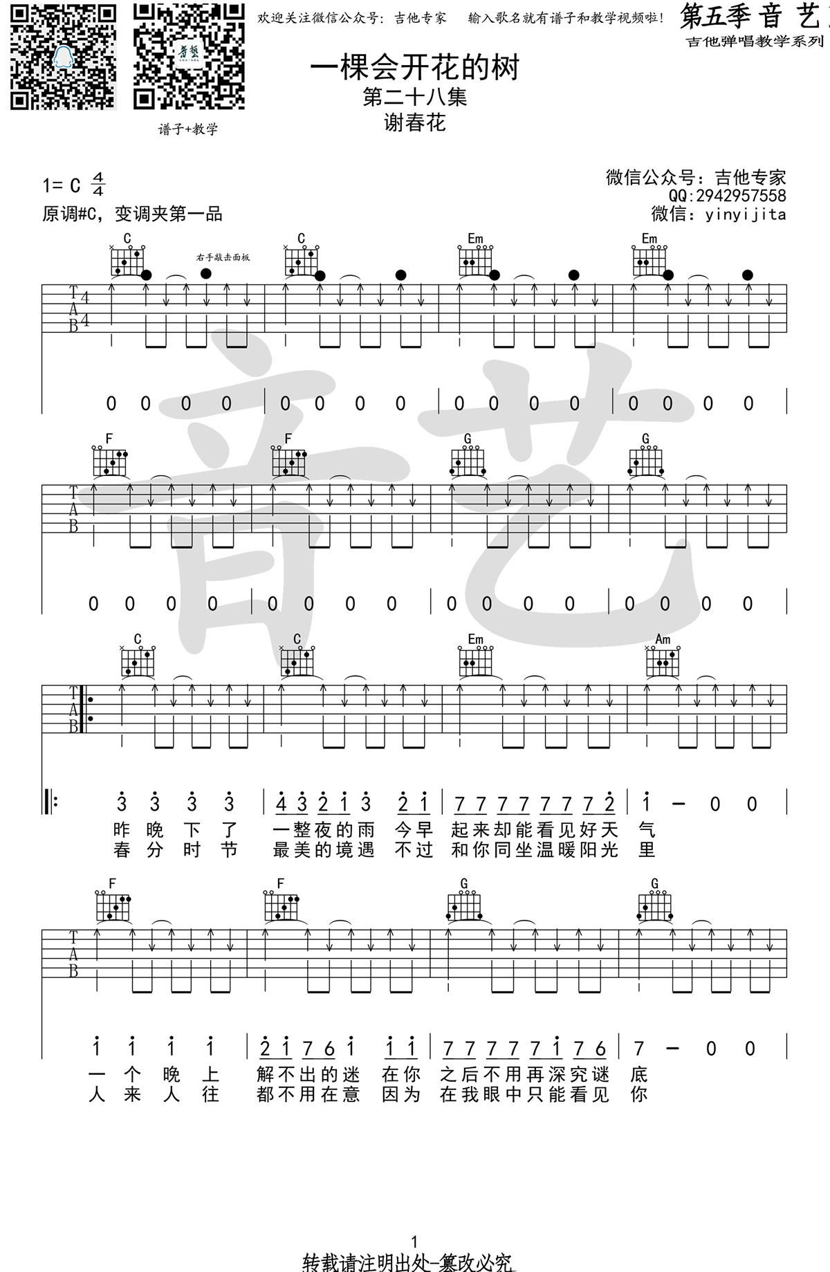 会开花的树吉他谱图片