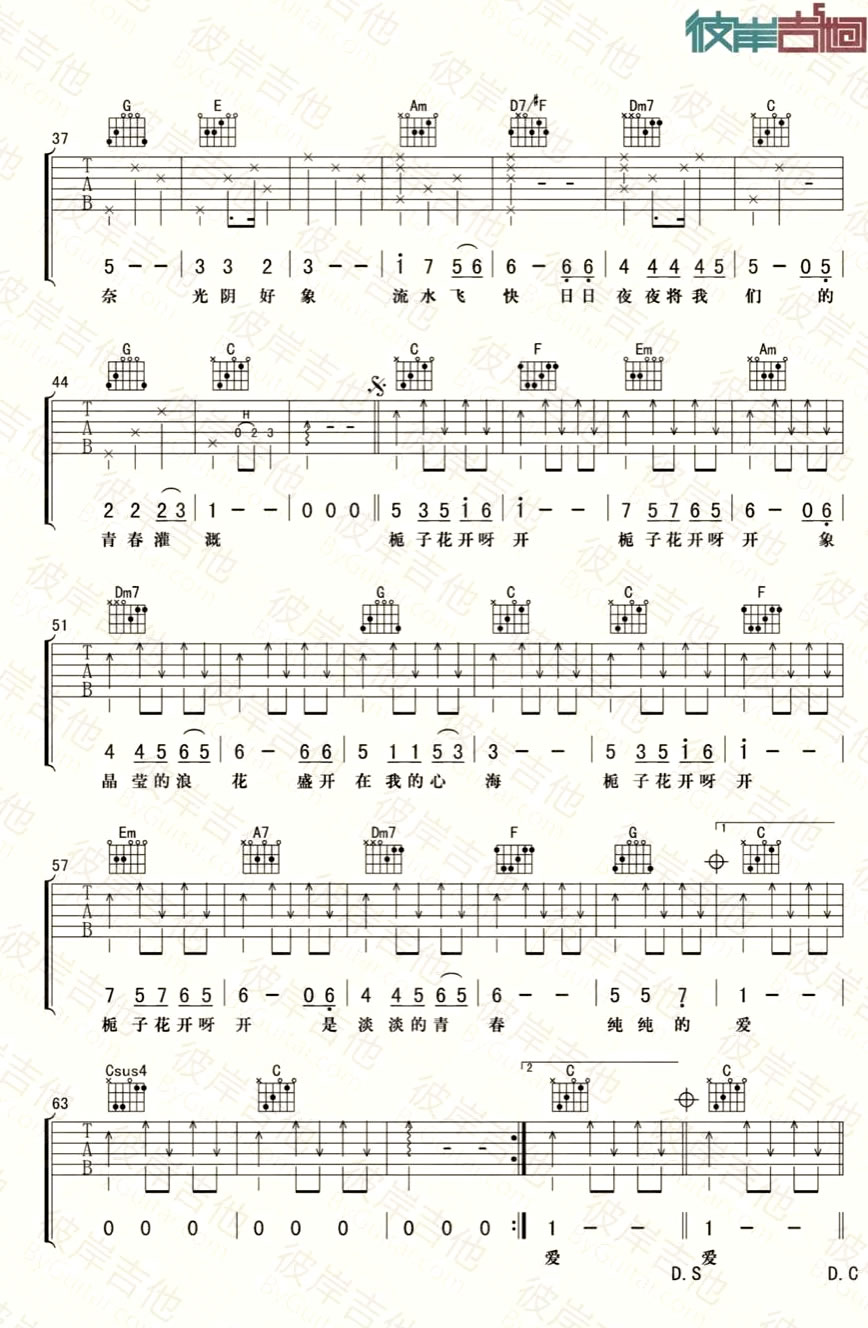 《栀子花开吉他谱》_何炅_C调_吉他图片谱2张 图2