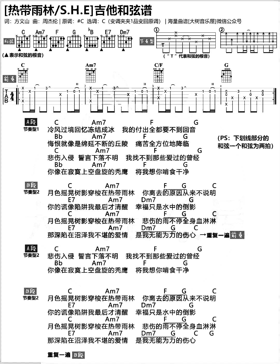 《热带雨林吉他谱》_SHE_C调_吉他图片谱1张 图1