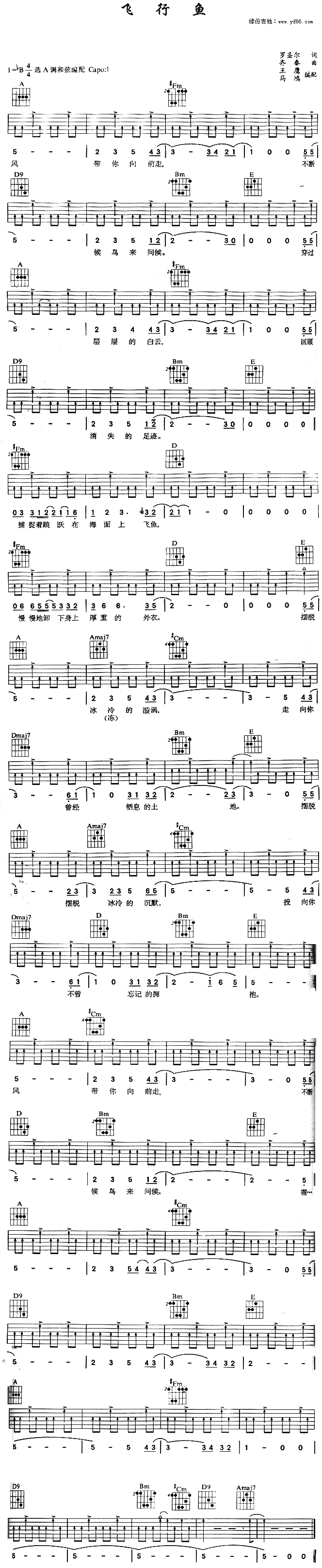 《飞行鱼吉他谱》_齐秦_未知调_吉他图片谱1张 图1