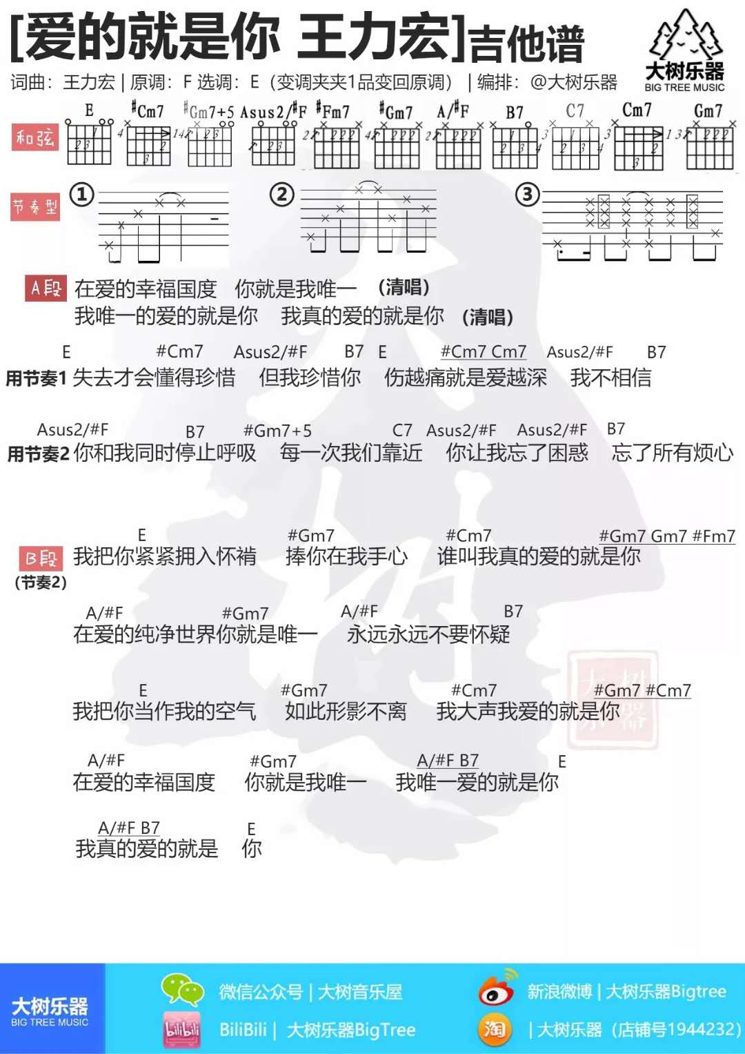 《爱的就是你吉他谱》 王力宏 E调 吉他图片谱1张 吉他谱大全