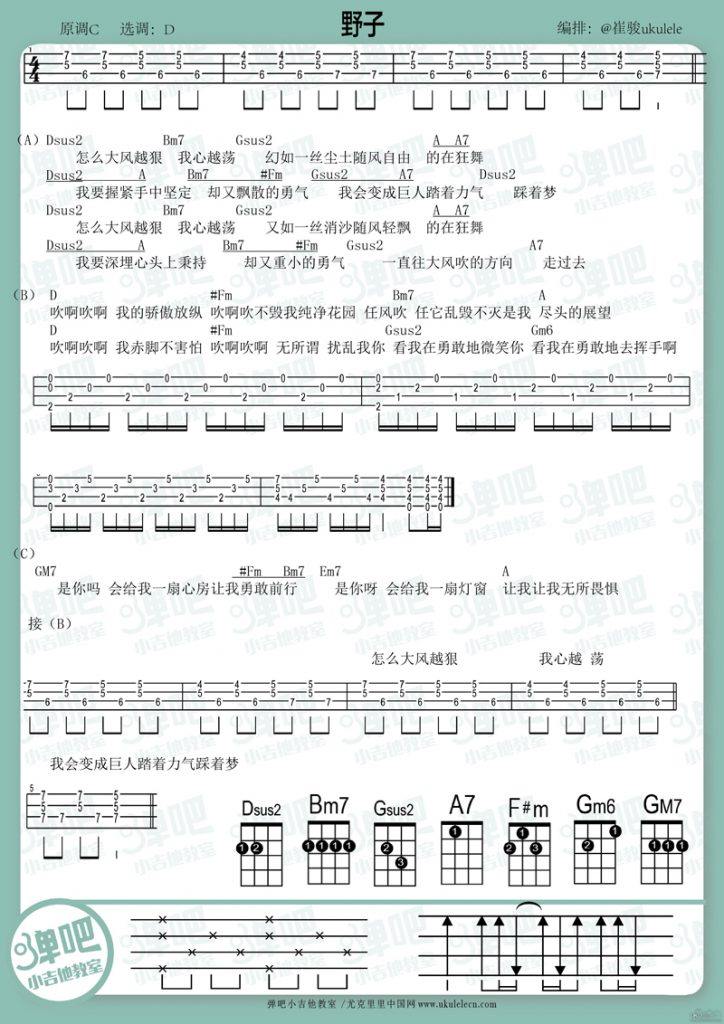 《野子吉他谱》_苏运莹_D调_吉他图片谱1张 图1