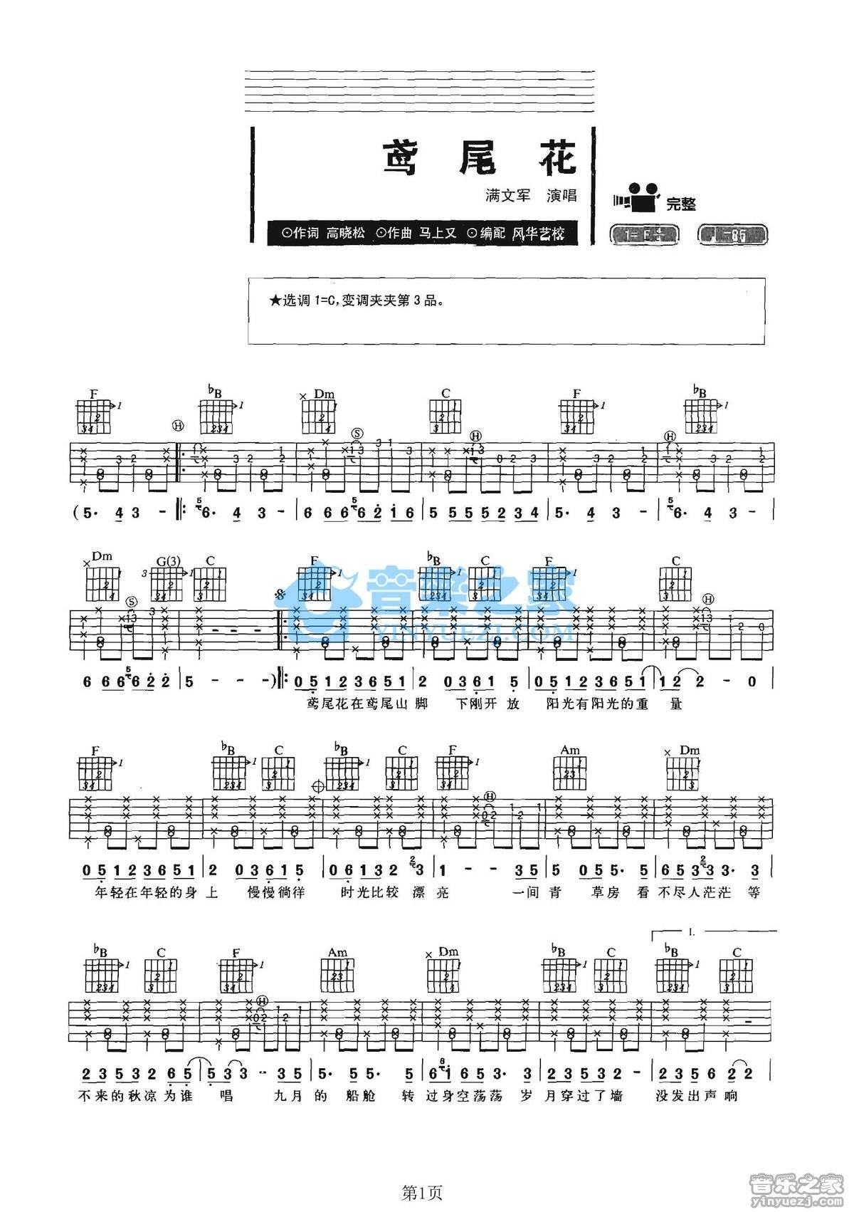 《鸢尾花吉他谱》_满文军_C调_吉他图片谱2张 图1