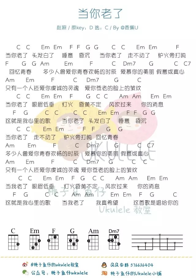 《当你老了吉他谱》_赵照_C调_吉他图片谱1张 图1