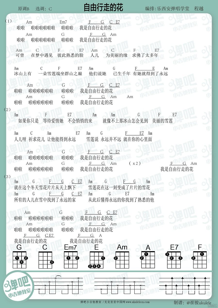 《自由行走的花吉他谱》_萨顶顶_C调_吉他图片谱1张 图1